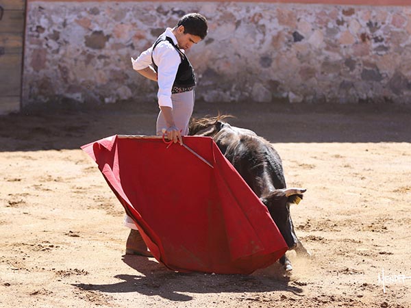 La barbilla en el pecho