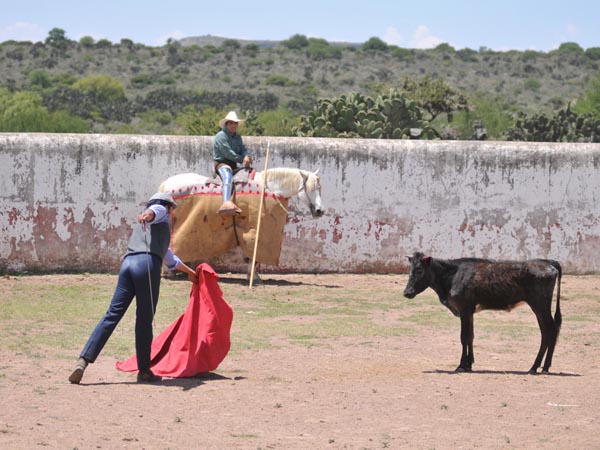 Echndosela hasta el hocico