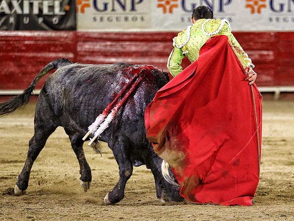 Cambiado por la espalda