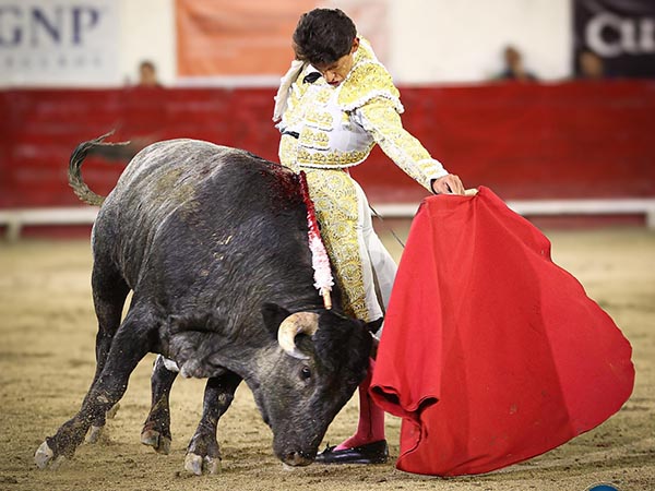 Sentimiento torero