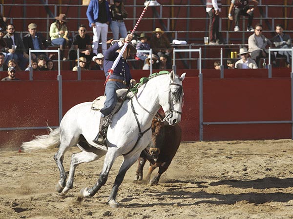 Etapa final de la faena