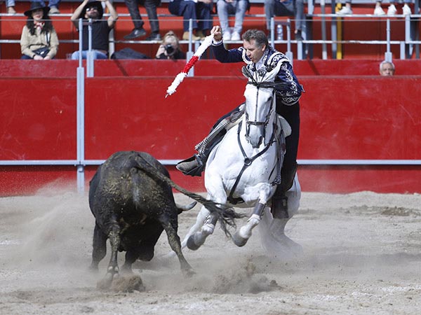 Dominio de la suerte