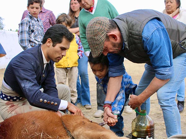 Conocer en el mismo sitio