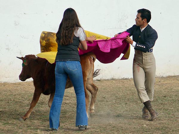 Matando el gusanito