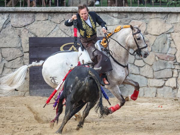 Brillante faena por colleras