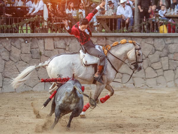 Alarde sin manos