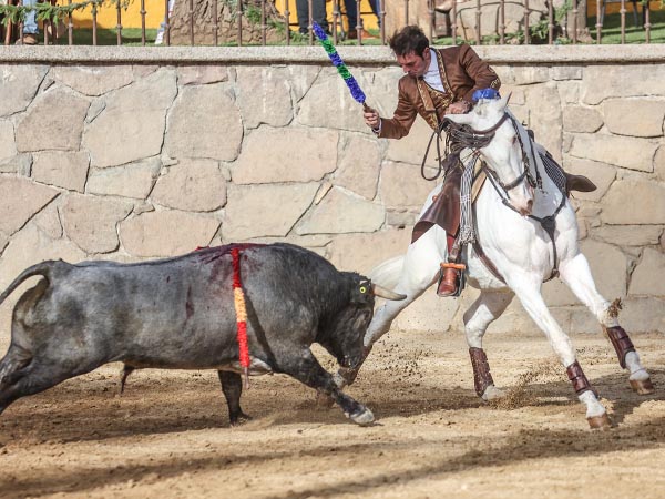 Templando al crdeno