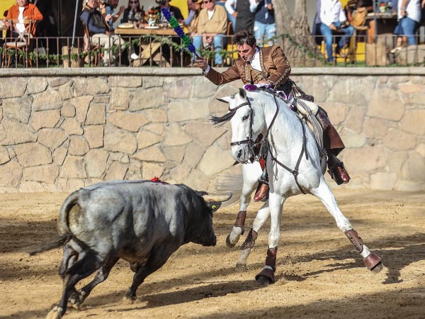 Jaca y caballista como uno solo