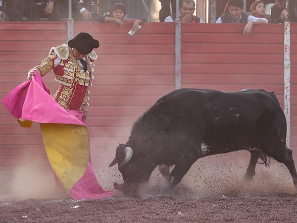 Plantado en la arena