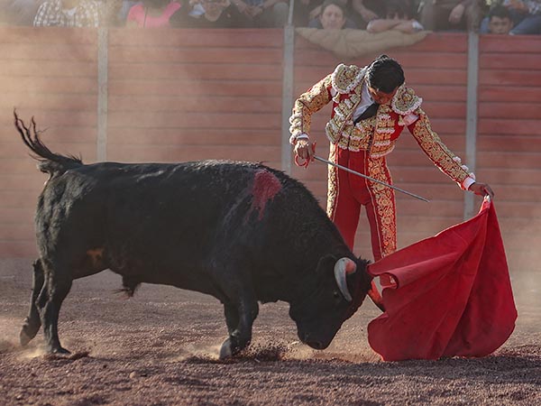 Alegre en la embestida