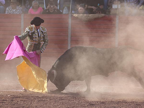 Sentimiento a la vernica