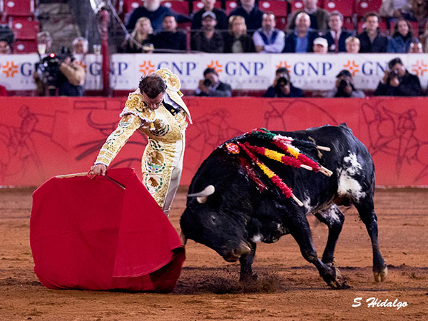 Templando la embestida