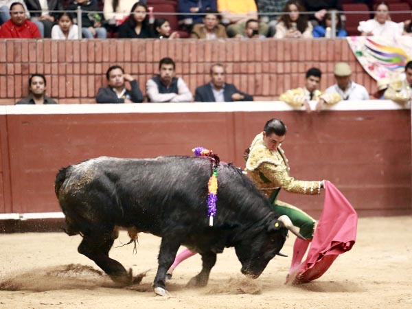 Llevndolo en los primeros pases