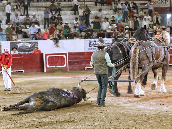 Ovacionado en el arrastre