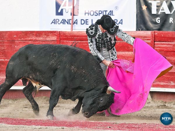 Saludo por vernicas