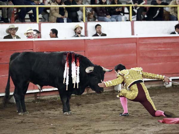 Torero desplante