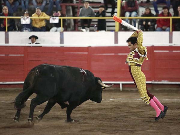 Matador de tres tercios