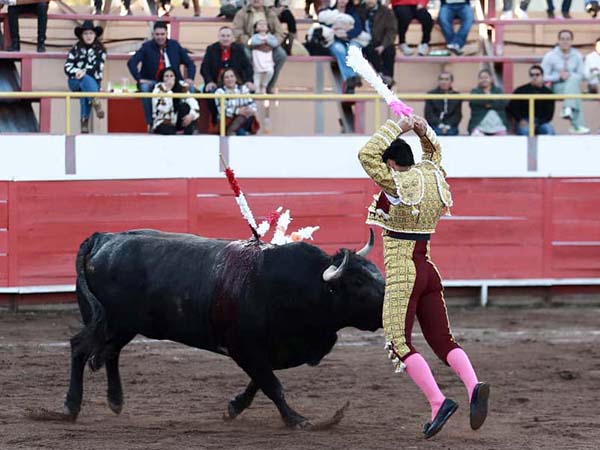 En la cara del astifino