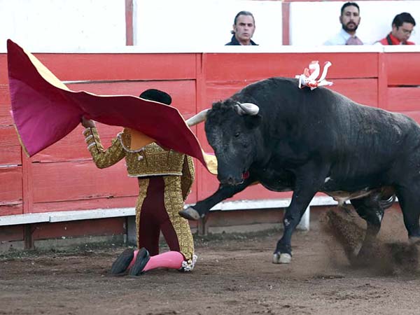 Martnez, deseos de triunfo