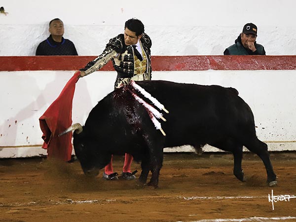 Templando al negro