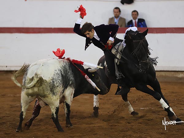 Rosas en el morrillo