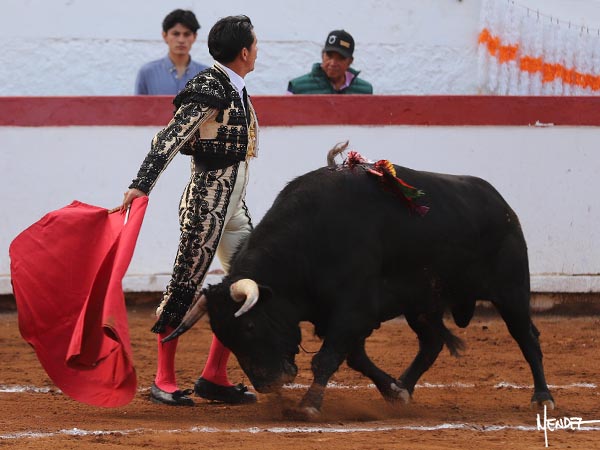 La mirada en las gachis