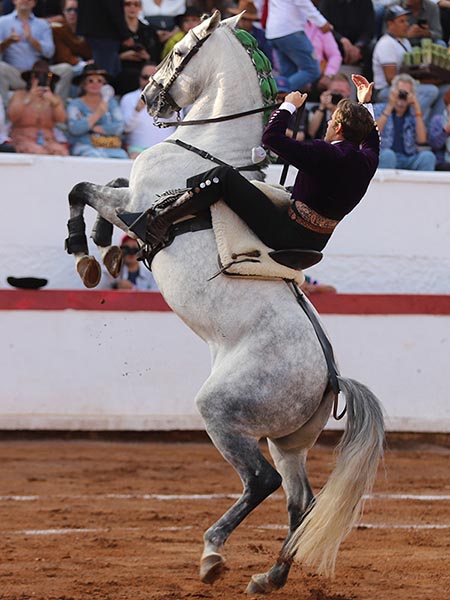 La alzada del tordo