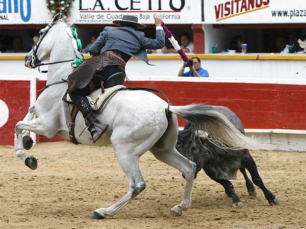 A clavar en lo alto