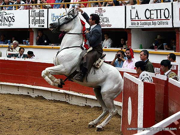 Detalle de Corral