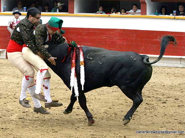 Los Mazatlecos se la jugaron