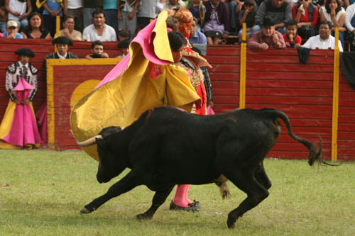 La variedad de Antonio Vazquez