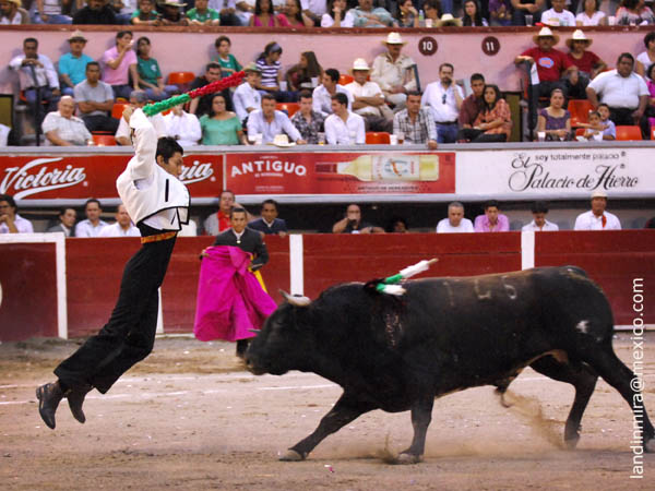 En pleno vuelo