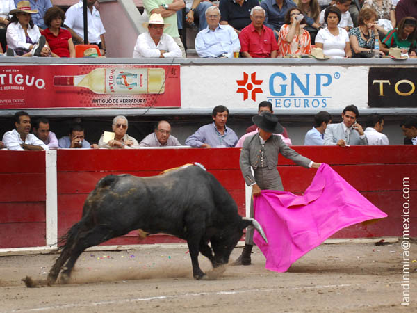 Un triunfo ms de Fabin Barba