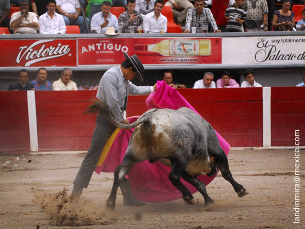 Juan Antonio Adame a la vernica