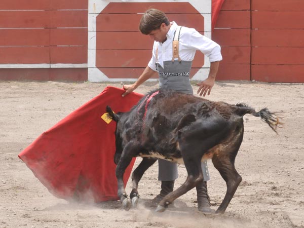 Asentado Fabin Barba