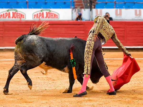 Corriendo la mano