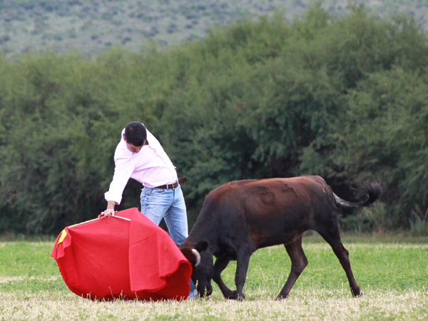 Fundidos, becerra y torero