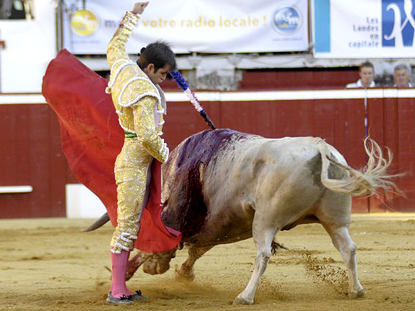 Tratando de alegrar la faena