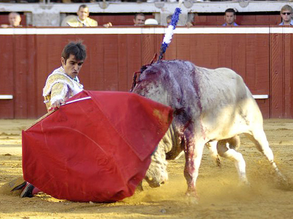 El inicio, de rodillas