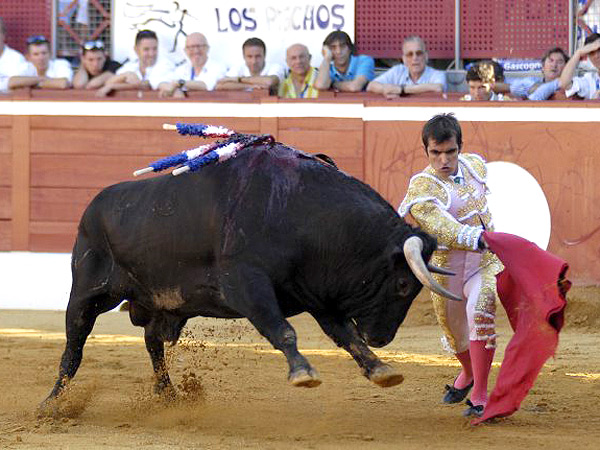 Echaba las manos por delante