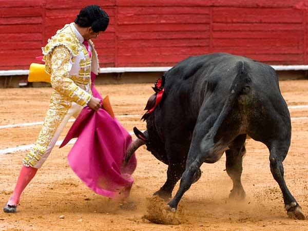 Llevndolo al caballo