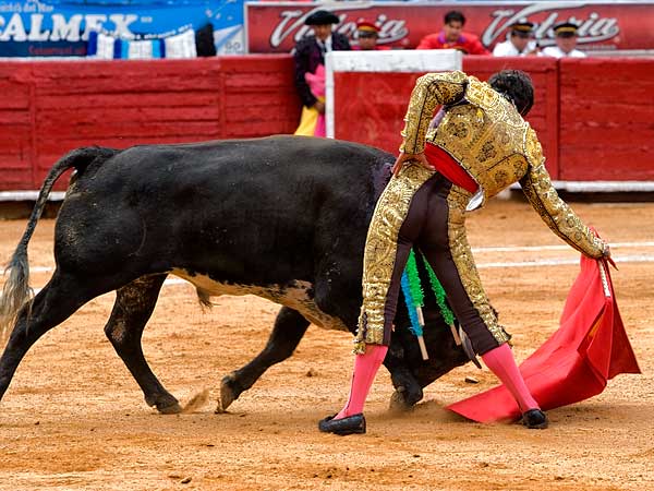 Calidad en la embestida