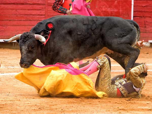 Le bail un zapateado