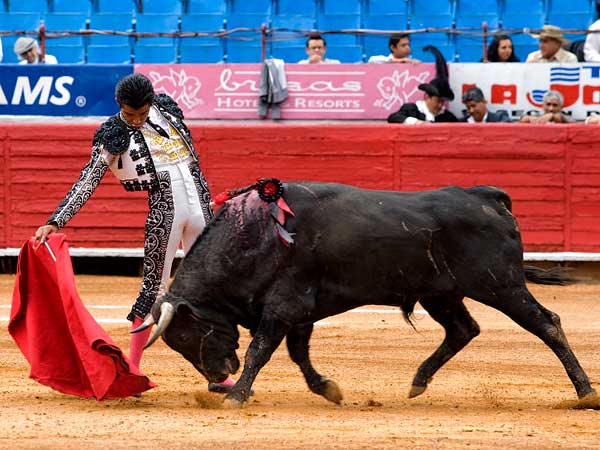 Templando la embestida