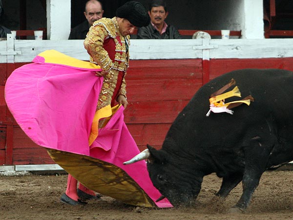 La elegancia de Barba