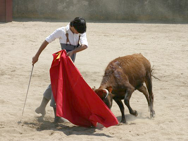 Elegante forzado de pecho