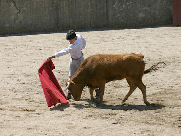 Preparando el remate