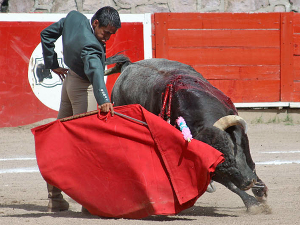 Llevndolo hasta el final