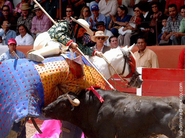 La pelea en el peto