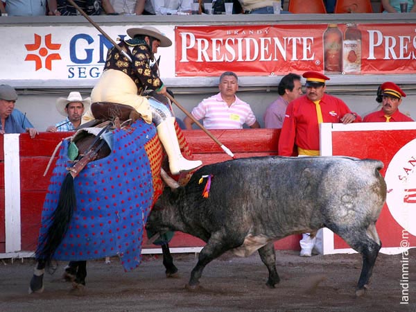 Una vara al crdeno